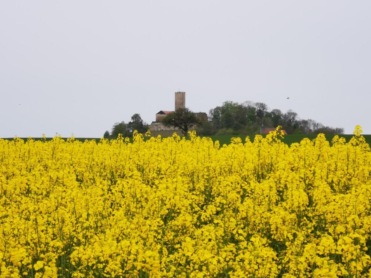 Im Herzen Des Kraichgaus 1 Ostringen Exteriér fotografie