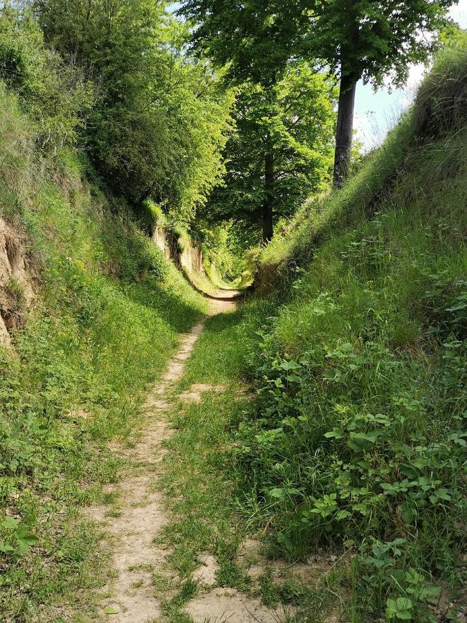 Im Herzen Des Kraichgaus 1 Ostringen Exteriér fotografie